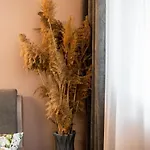 Appartement какао