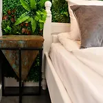 Appartement какао