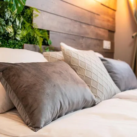 какао Apartment Velingrad