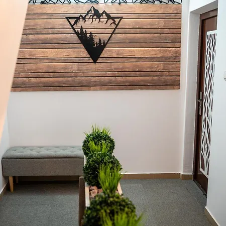 какао Velingrad