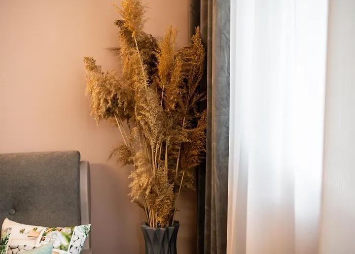 Apartment какао