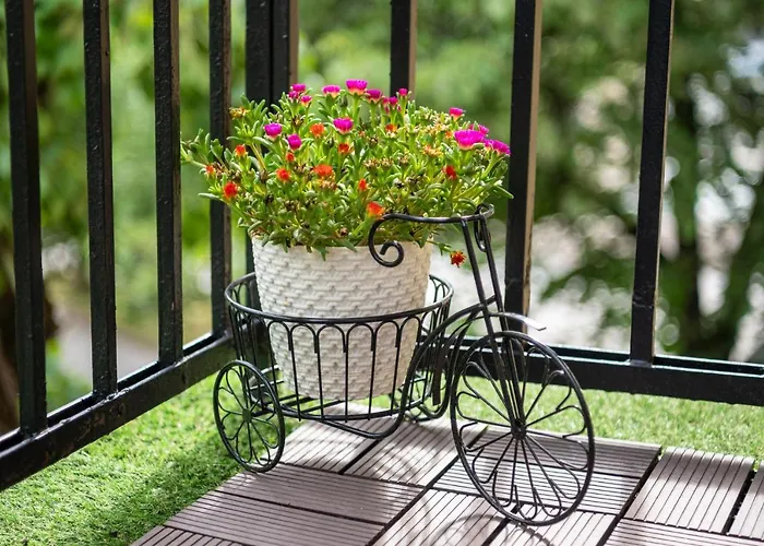 какао * Velingrad