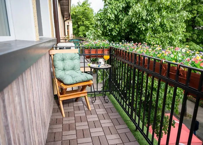 какао Velingrad